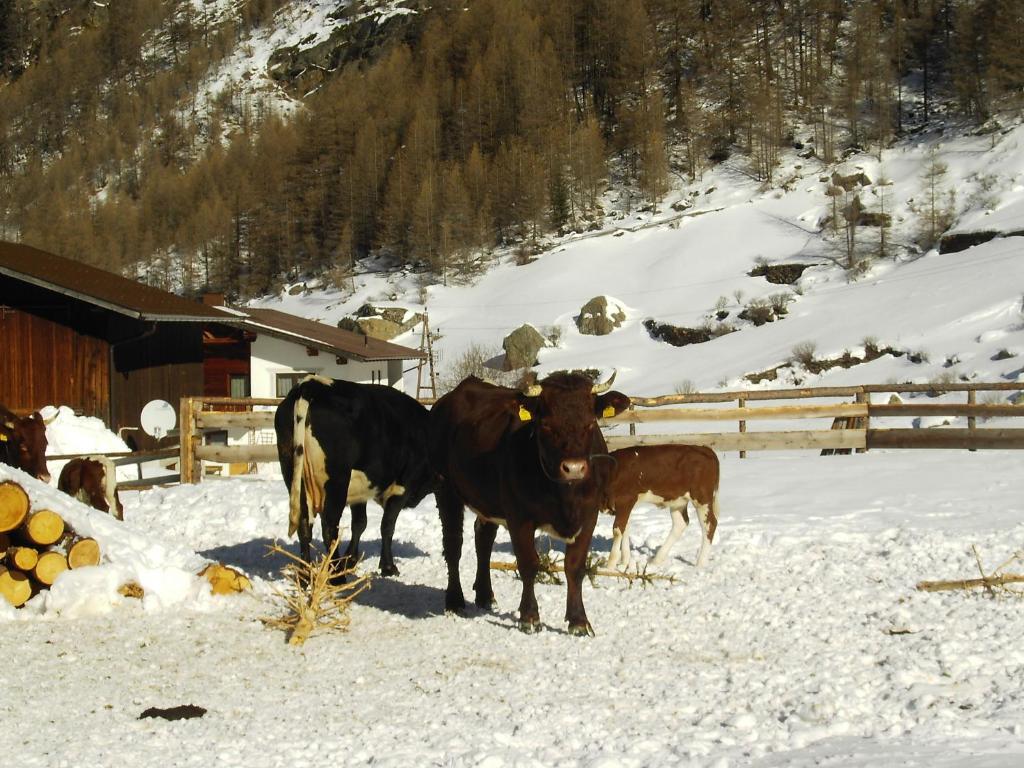 S'Jechlas Sölden Zewnętrze zdjęcie